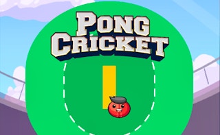 Image Pong Cricket